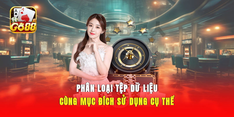 Phân loại tệp dữ liệu cùng mục đích sử dụng cụ thể